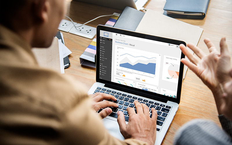 Aspiring data analysts reviewing a business dashboard.