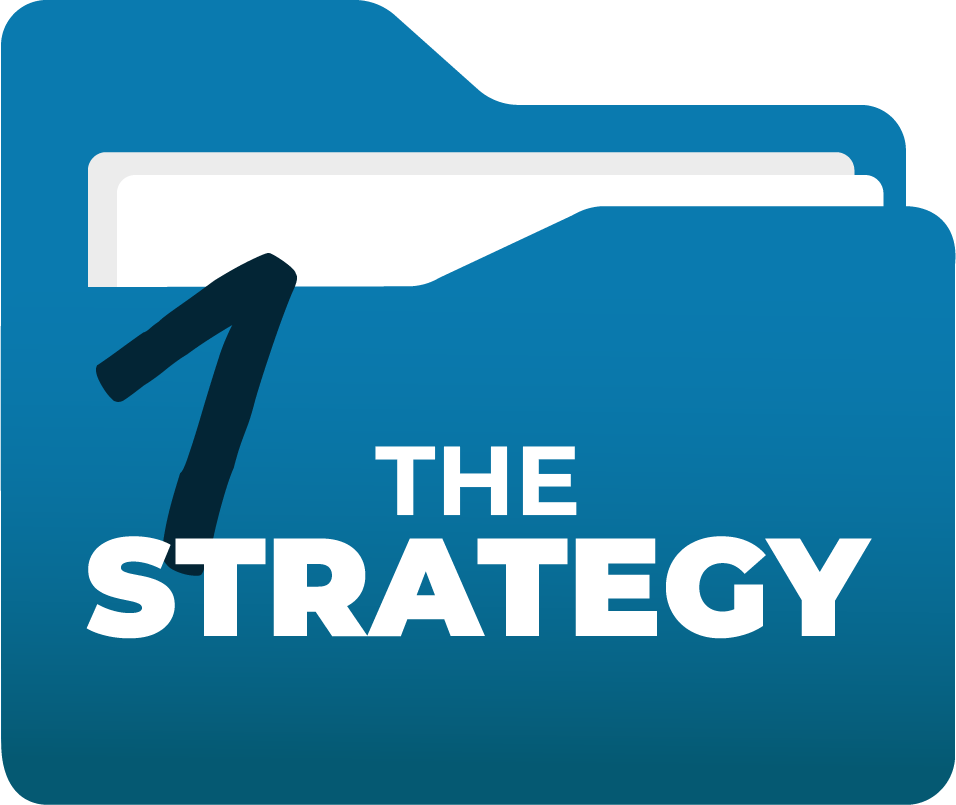 THE STRATEGY