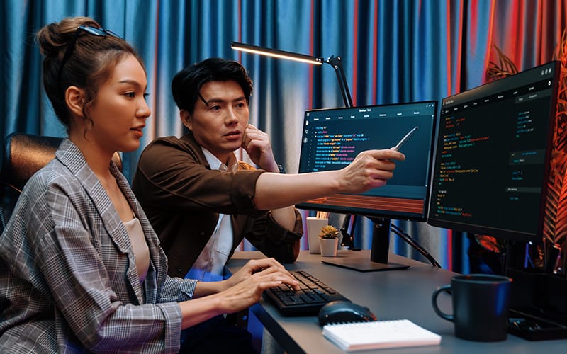 Two people coding, discussing a programming language.