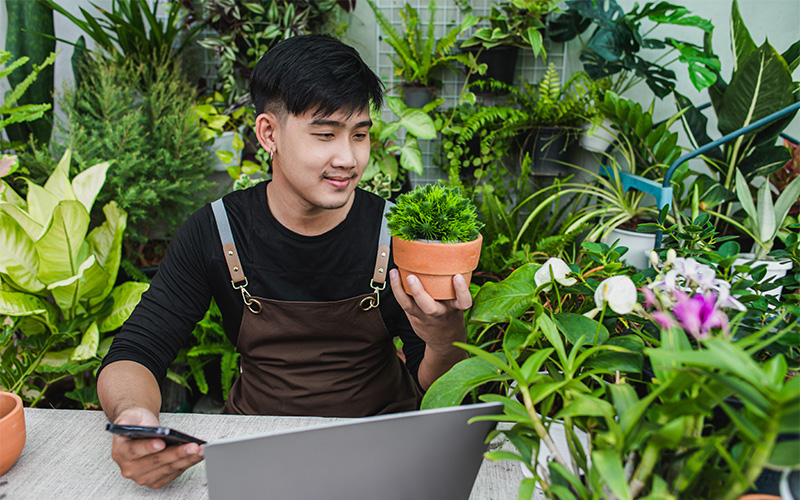 Young entrepreneur managing an online plant business