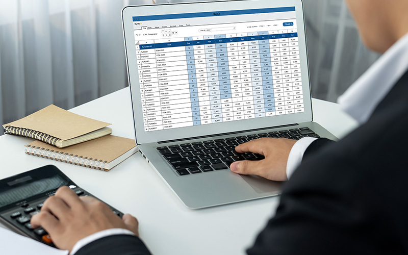 Accountant using spreadsheet software on a laptop.